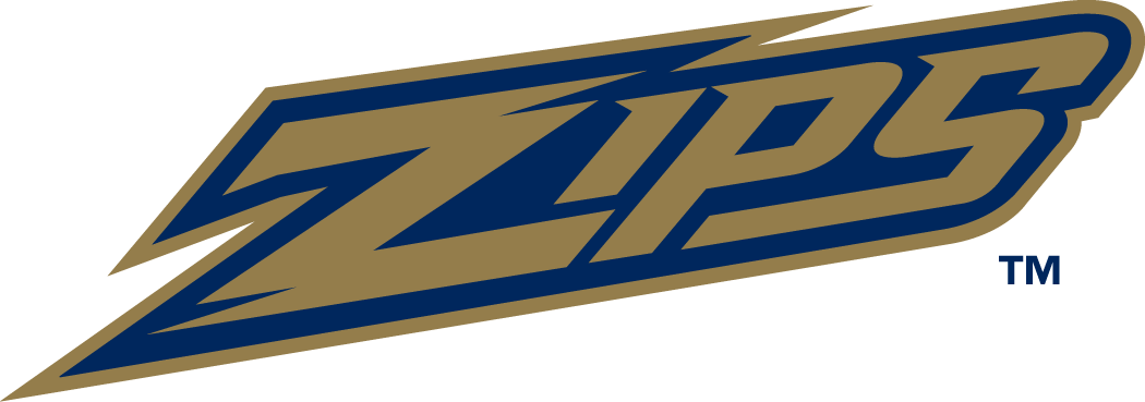 Akron Zips 2002-2013 Wordmark Logo 02 vinyl decal